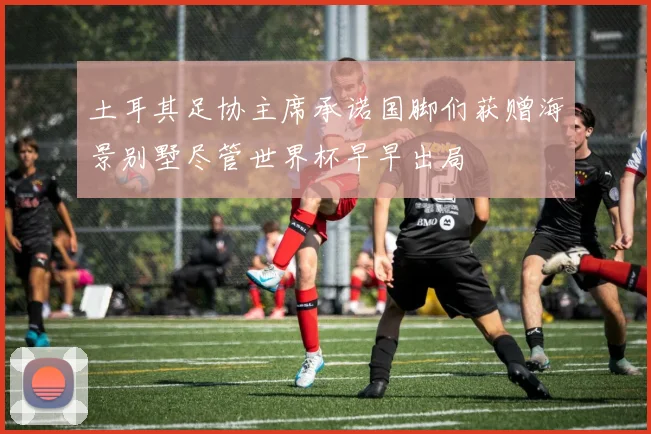 土耳其足协主席承诺国脚们获赠海景别墅尽管世界杯早早出局