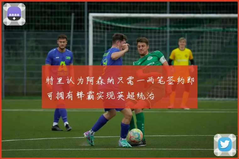 特里认为阿森纳只需一两笔签约即可拥有锋霸实现英超统治