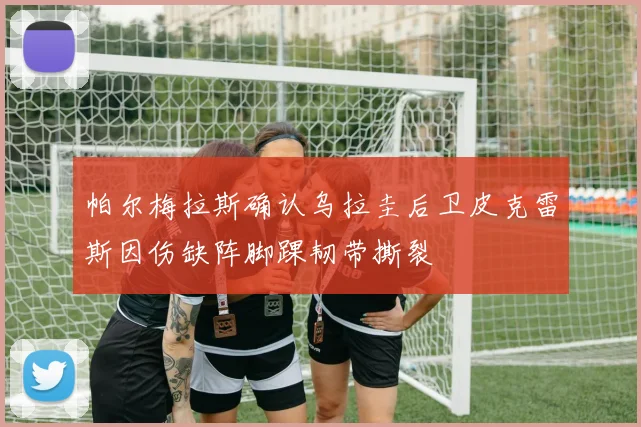 帕尔梅拉斯确认乌拉圭后卫皮克雷斯因伤缺阵脚踝韧带撕裂