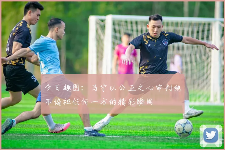 今日趣图：马宁以公正之心审判绝不偏袒任何一方的精彩瞬间