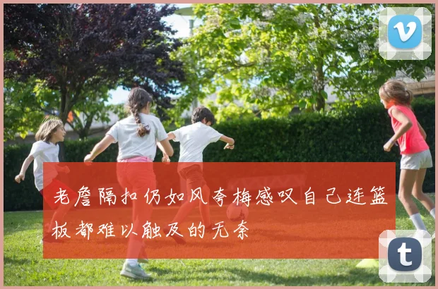 老詹隔扣仍如风夸梅感叹自己连篮板都难以触及的无奈